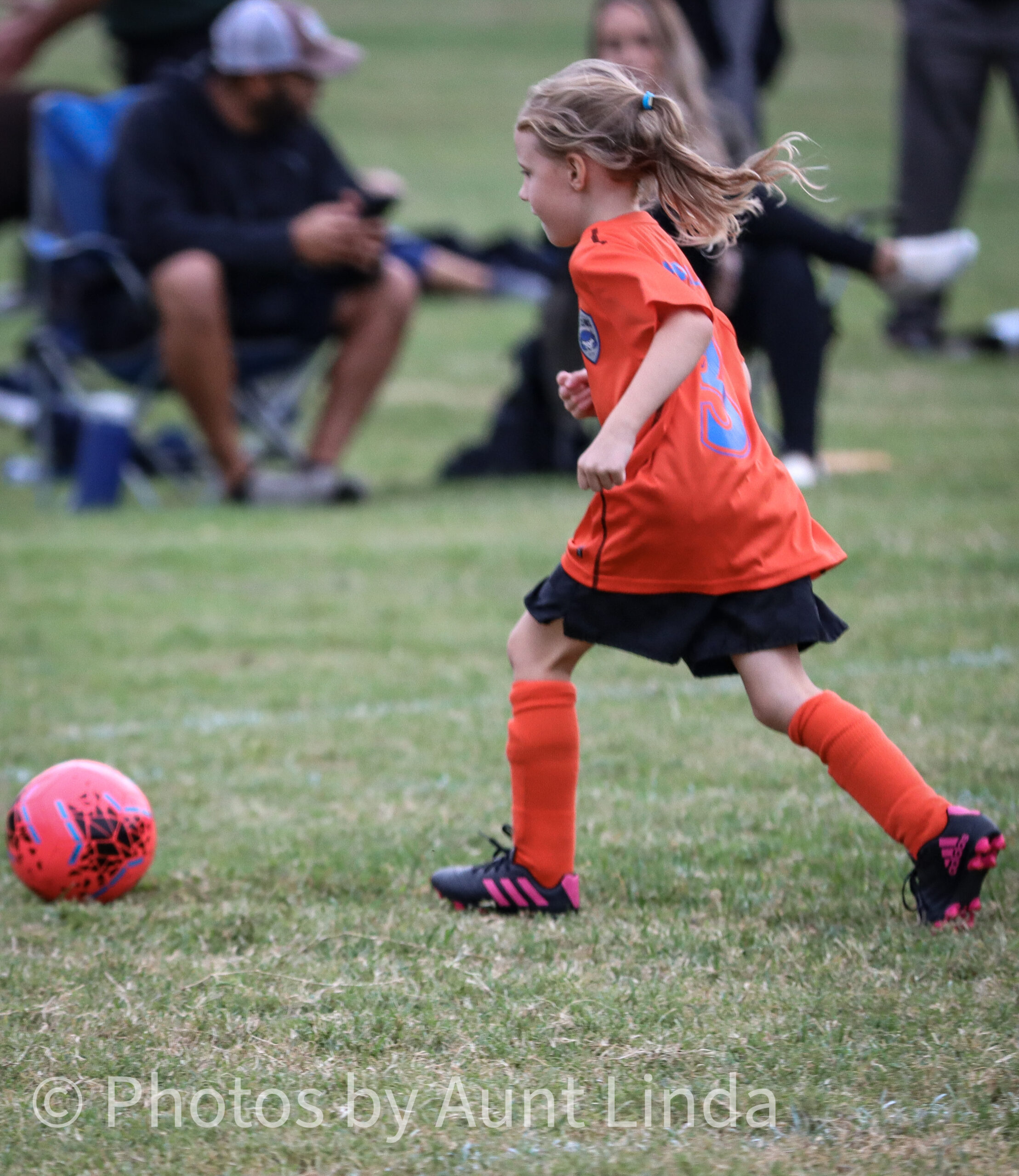 1C78D8C1-1BC3-4E2C-8BA8-2CA091DC0422