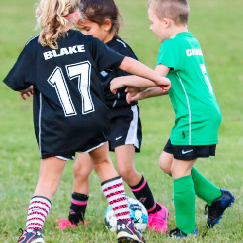 ESP Blue Claws 9/21/2020 21704