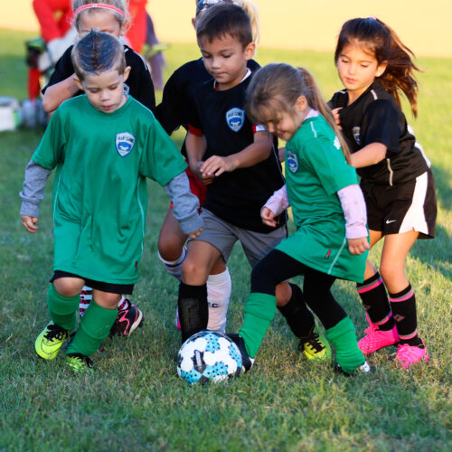 ESP Blue Claws 9/21/2020 21766