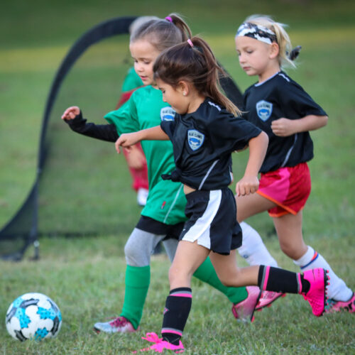 ESP Blue Claws 9/21/2020 21749