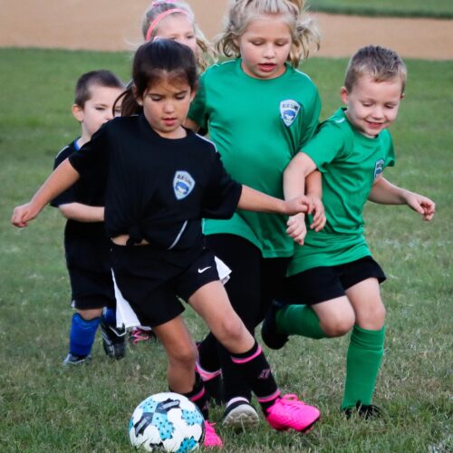 ESP Blue Claws 9/21/2020 21709