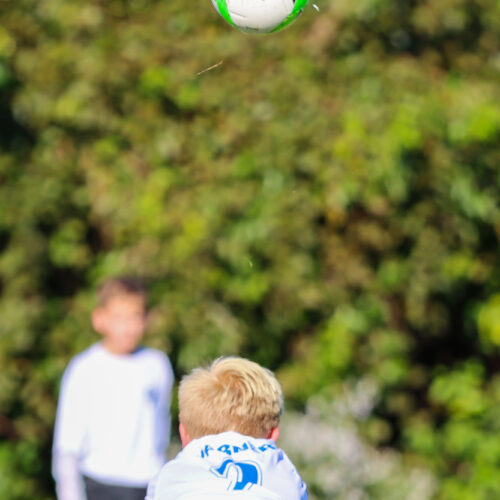 ESP Blue Claws 10 3 2020 Pee Wee Ray/Dziewanowski October 8th, 2020 35764