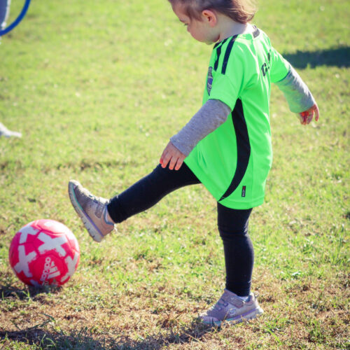 Auto Draft October 5th, 2020 33577