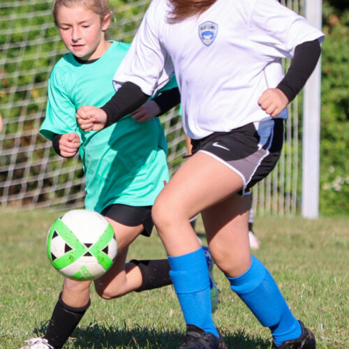 ESP Blue Claws 10 3 2020 Pee Wee Ray/Dziewanowski October 8th, 2020 35747