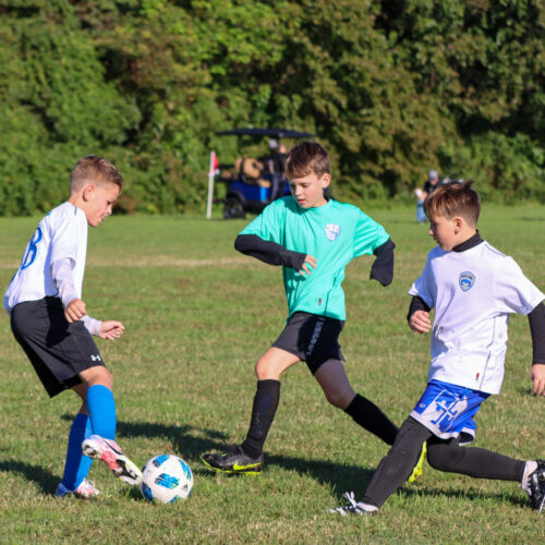 ESP Blue Claws 10 3 2020 Pee Wee Ray/Dziewanowski October 8th, 2020 35823