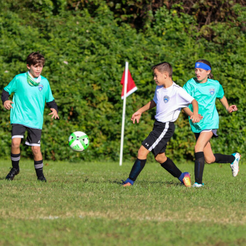 ESP Blue Claws 10 3 2020 Pee Wee Ray/Dziewanowski October 8th, 2020 35872