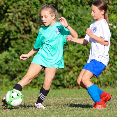 ESP Blue Claws 10 3 2020 Pee Wee Ray/Dziewanowski October 8th, 2020 35735