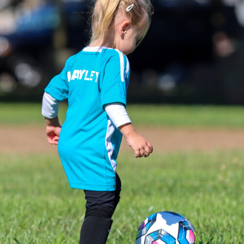 Auto Draft October 4th, 2020 32766