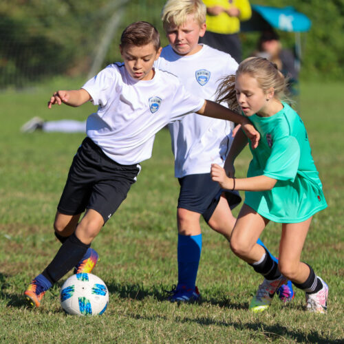 ESP Blue Claws 10 3 2020 Pee Wee Ray/Dziewanowski October 8th, 2020 35870