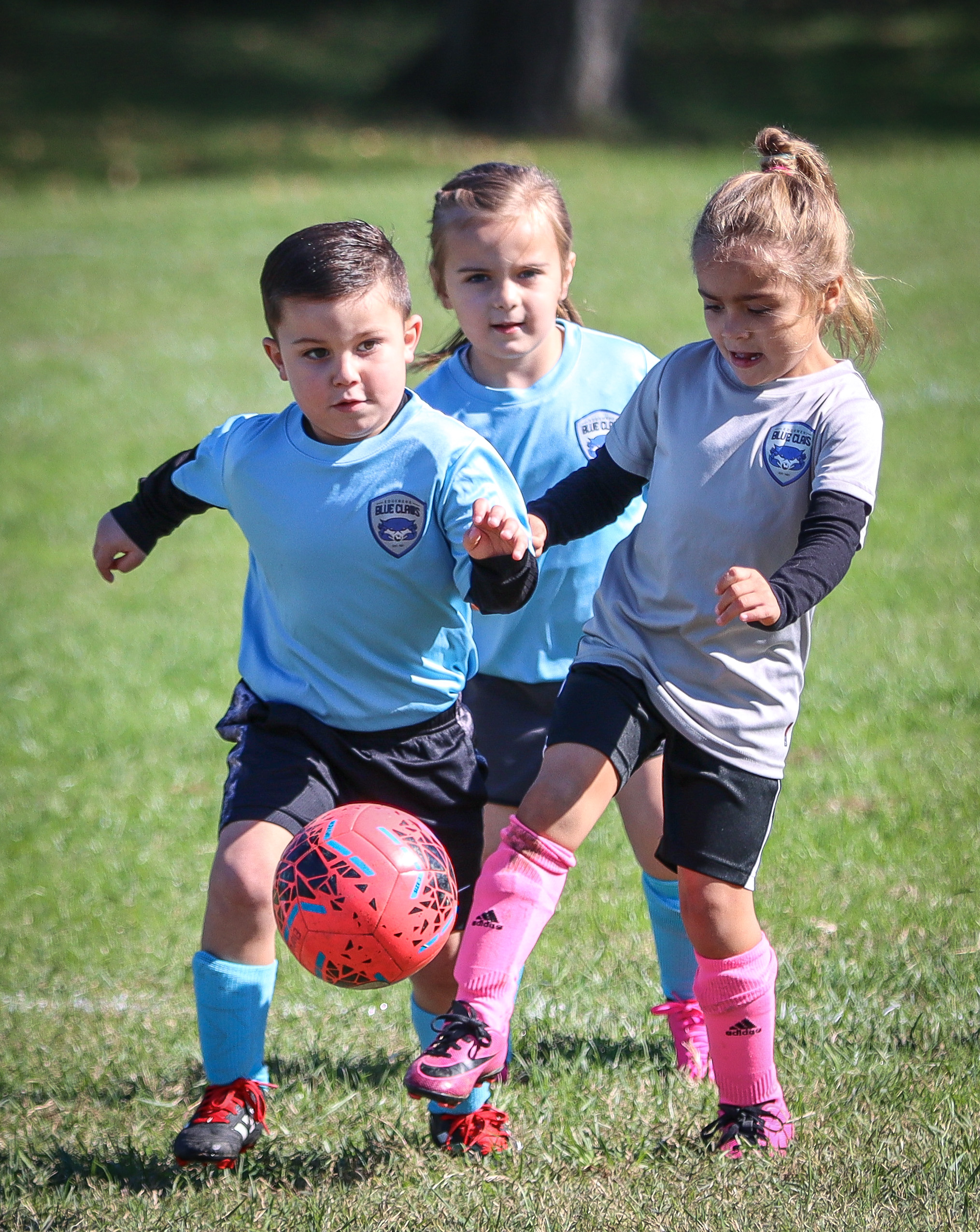 47115699-AF69-462B-B19A-78D5CAC66F2E