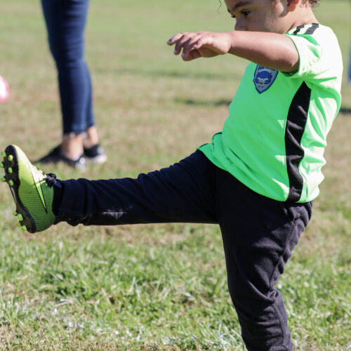 Auto Draft October 5th, 2020 33553