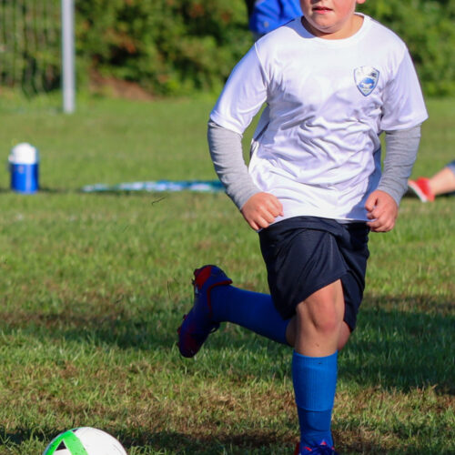 ESP Blue Claws 10 3 2020 Pee Wee Ray/Dziewanowski October 8th, 2020 35734