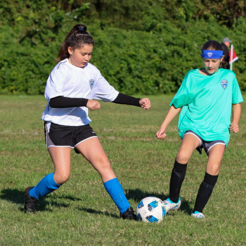 ESP Blue Claws 10 3 2020 Pee Wee Ray/Dziewanowski October 8th, 2020 35812