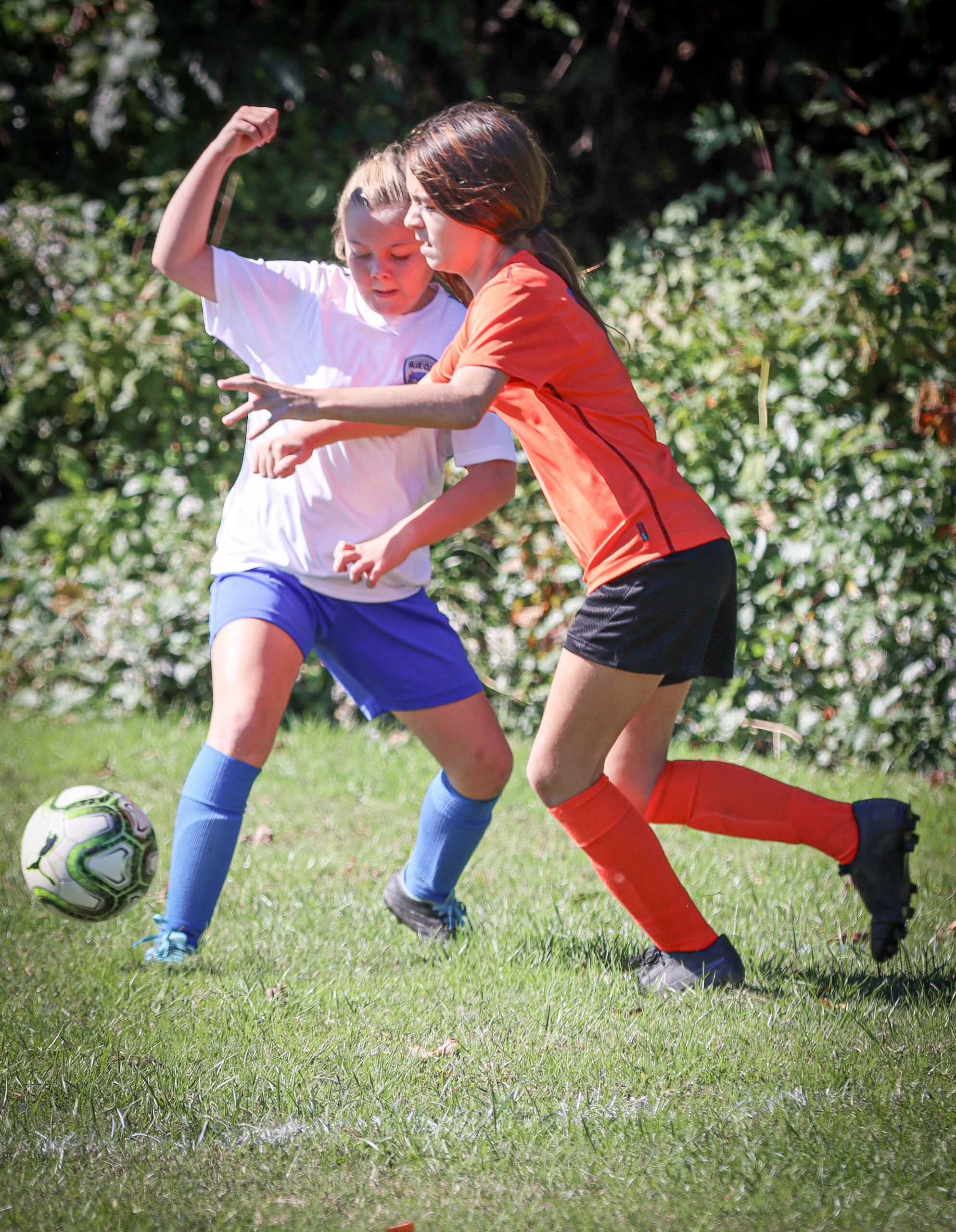 6C135608-798C-44A3-8C9C-5AF59D4C4728