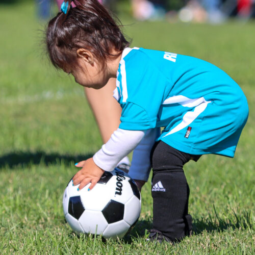 Auto Draft October 5th, 2020 33591