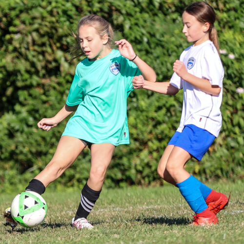 ESP Blue Claws 10 3 2020 Pee Wee Ray/Dziewanowski October 8th, 2020 35736