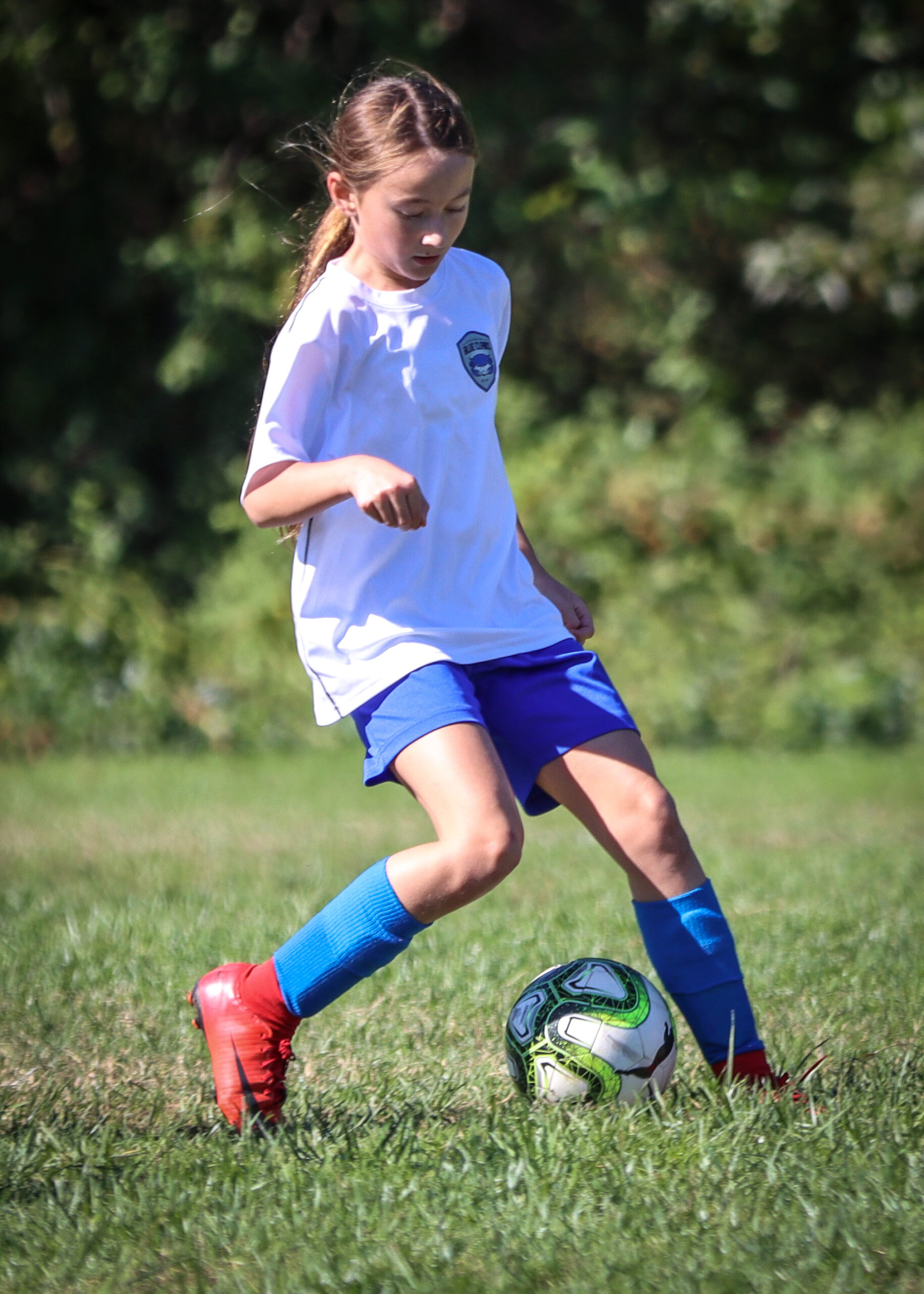 884E2DC8-F2E4-421C-962F-B1334FC75191