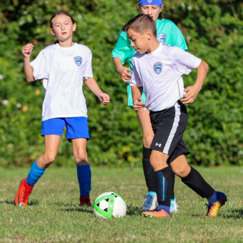 ESP Blue Claws 10 3 2020 Pee Wee Ray/Dziewanowski October 8th, 2020 35742