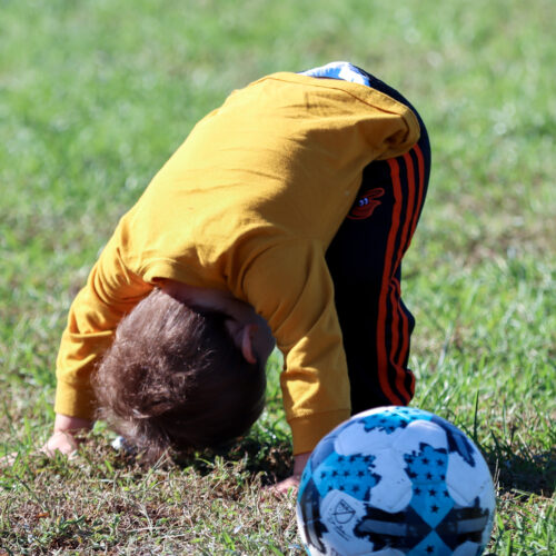 Auto Draft October 5th, 2020 33546