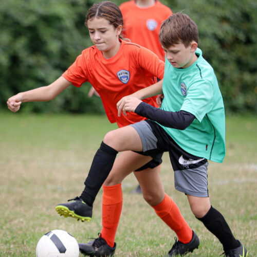 ESP Blue Claws 10 10 20 Sandbek/Paul October 15th, 2020 40162