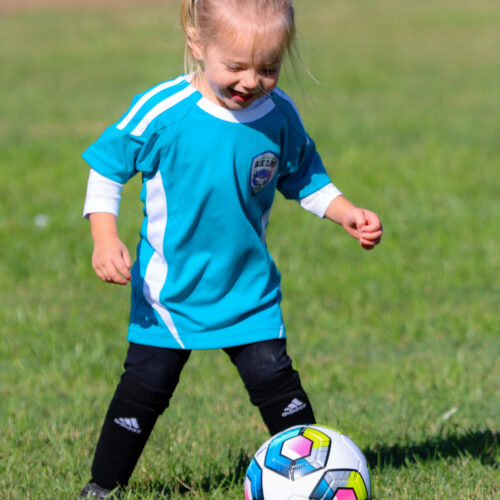 Auto Draft October 4th, 2020 32767