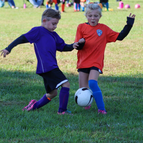 ESP Blue Claws 10 3 2020 Smith/Paul October 8th, 2020 36596