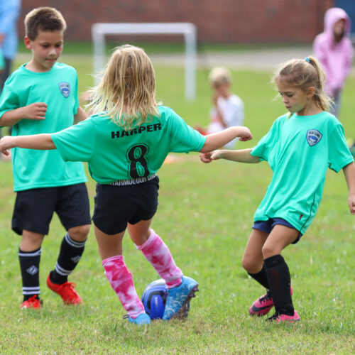 ESP Blue Claws 10 10 20 Conner/Gounaris October 12th, 2020 37507