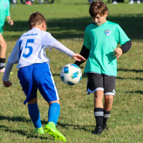 ESP Blue Claws 10 3 2020 Pee Wee Ray/Dziewanowski October 8th, 2020 35834