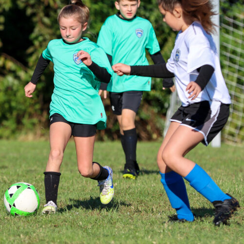 ESP Blue Claws 10 3 2020 Pee Wee Ray/Dziewanowski October 8th, 2020 35757