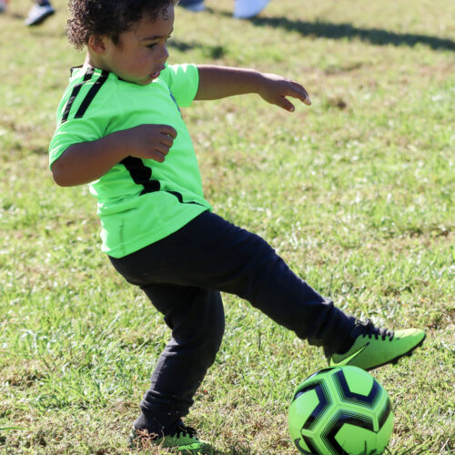 Auto Draft October 5th, 2020 33576