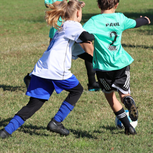 ESP Blue Claws 10 3 2020 Pee Wee Ray/Dziewanowski October 8th, 2020 35864