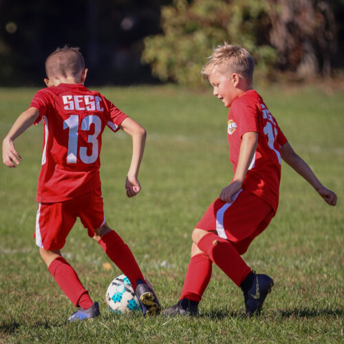 SESC PARKS 11 8 20 November 9th, 2020 43984