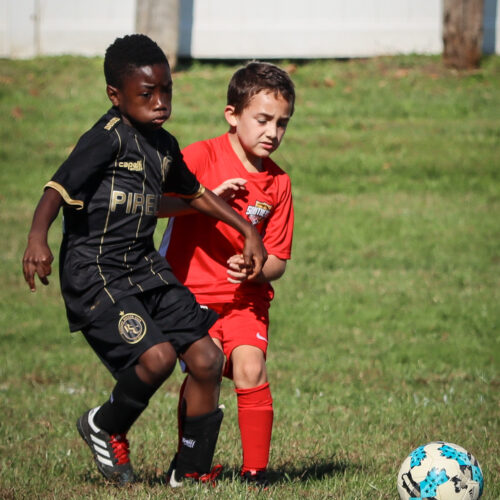 SESC PARKS 11 8 20 November 9th, 2020 43962