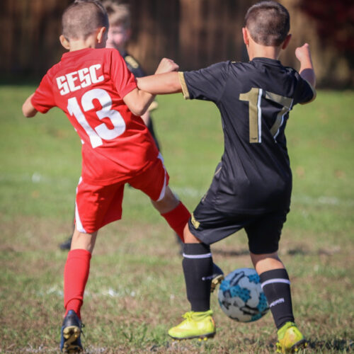 SESC PARKS 11 8 20 November 9th, 2020 43977