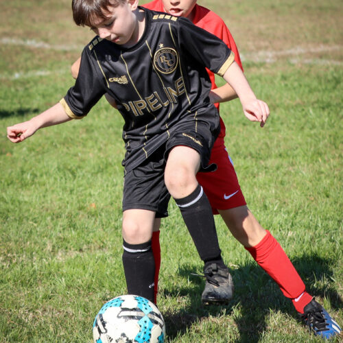 SESC PARKS 11 8 20 November 9th, 2020 44098