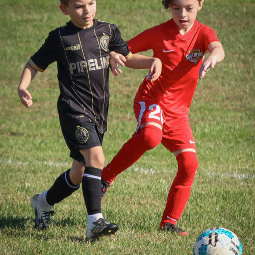 SESC PARKS 11 8 20 November 9th, 2020 43971