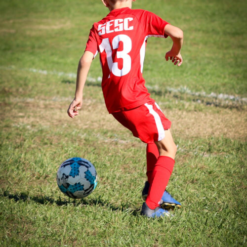 SESC PARKS 11 8 20 November 9th, 2020 43990