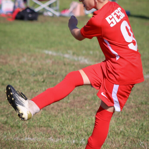 SESC PARKS 11 8 20 November 9th, 2020 44014