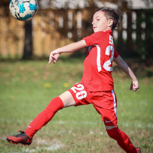 SESC PARKS 11 8 20 November 9th, 2020 44149