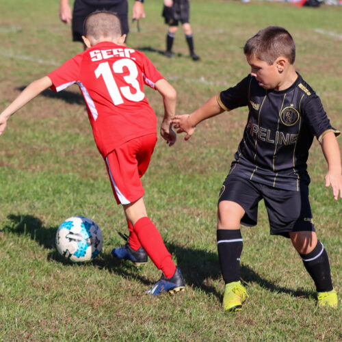 SESC PARKS 11 8 20 November 9th, 2020 44012