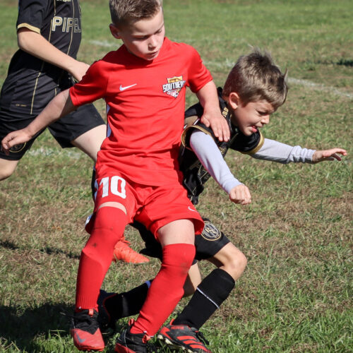 SESC PARKS 11 8 20 November 9th, 2020 44105