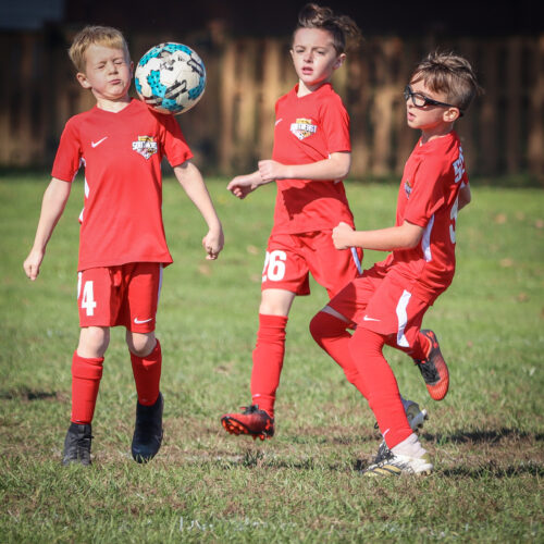 SESC PARKS 11 8 20 November 9th, 2020 44139