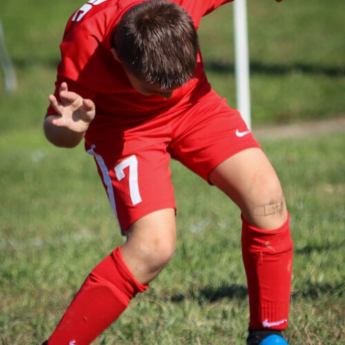 SESC PARKS 11 8 20 November 9th, 2020 44102