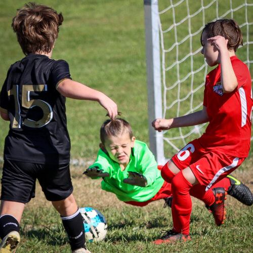 SESC PARKS 11 8 20 November 9th, 2020 44060