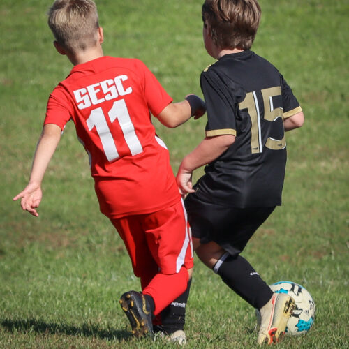 SESC PARKS 11 8 20 November 9th, 2020 44119