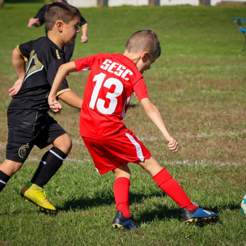 SESC PARKS 11 8 20 November 9th, 2020 44008