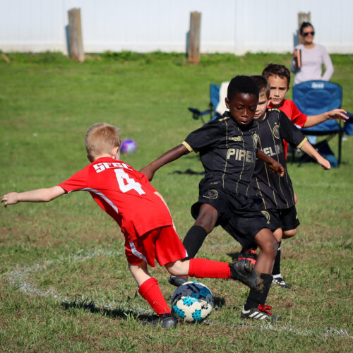 SESC PARKS 11 8 20 November 9th, 2020 43957