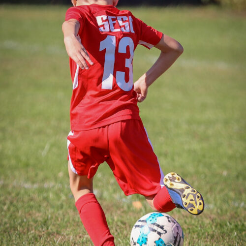 SESC PARKS 11 8 20 November 9th, 2020 43986