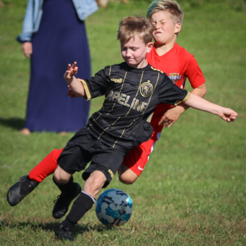 SESC PARKS 11 8 20 November 9th, 2020 44112