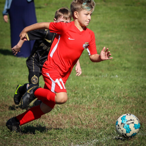 SESC PARKS 11 8 20 November 9th, 2020 44089